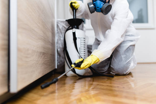 Best Affordable Pest Control Services  in Wortham, TX