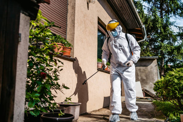 Best Emergency Pest Control  in Wortham, TX