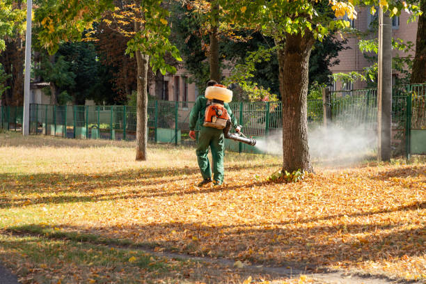 Best Commercial Pest Control Services  in Wortham, TX